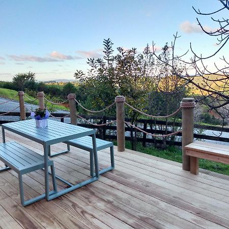 Secluded, Private Rural Retreat Mins From Warkworth -"Avondale" Minihouse Villa Eksteriør bilde